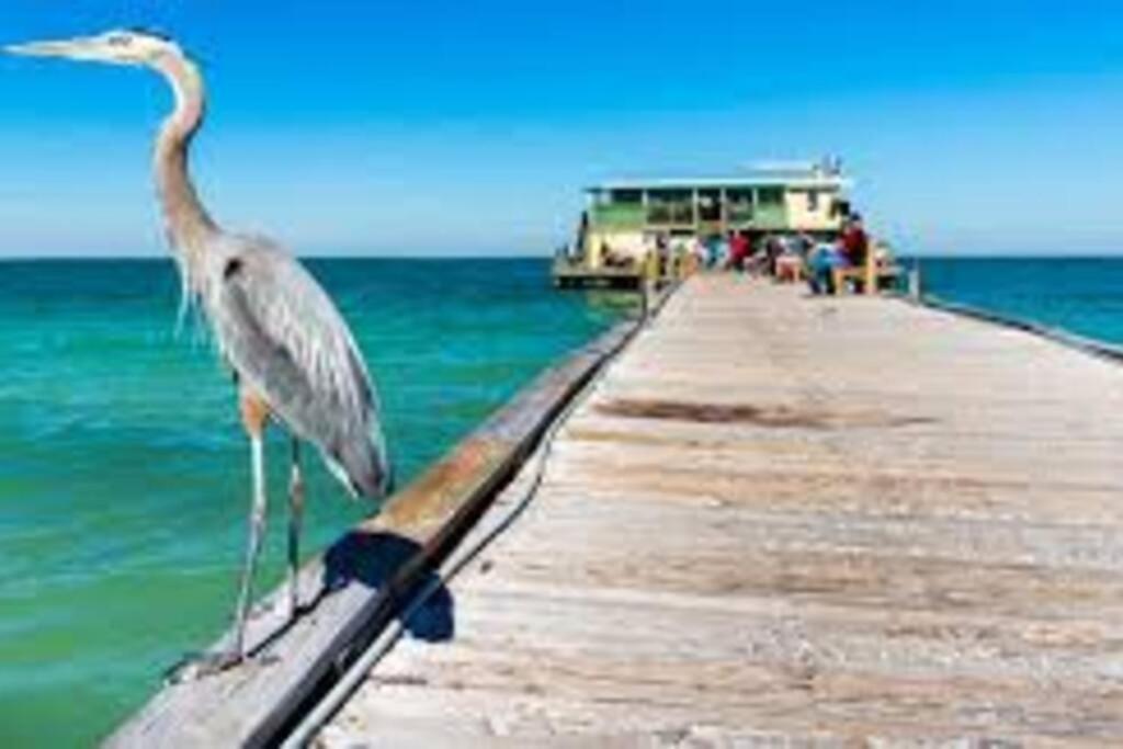 דירות בריידנטון Waterview Oasis Retreat, Minutes To Anna Maria Island And Img מראה חיצוני תמונה
