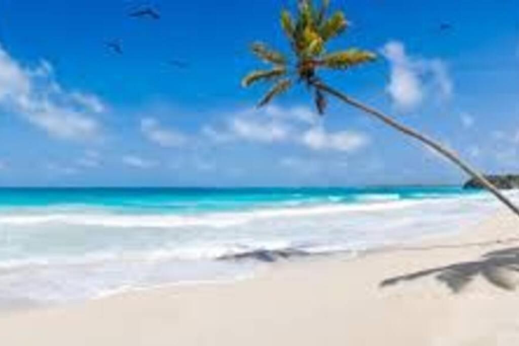 דירות בריידנטון Waterview Oasis Retreat, Minutes To Anna Maria Island And Img מראה חיצוני תמונה